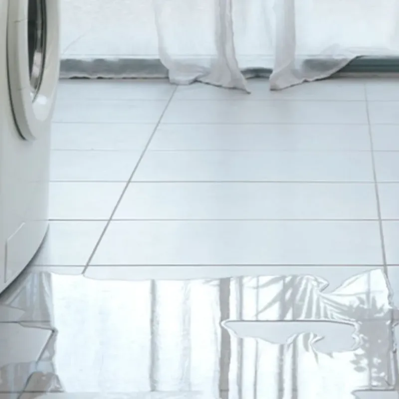 Appliance Leak Cleanup in Santa Rosa, TX