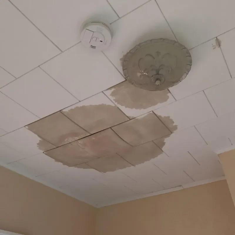 Ceiling Water Damage Repair in Santa Rosa, TX