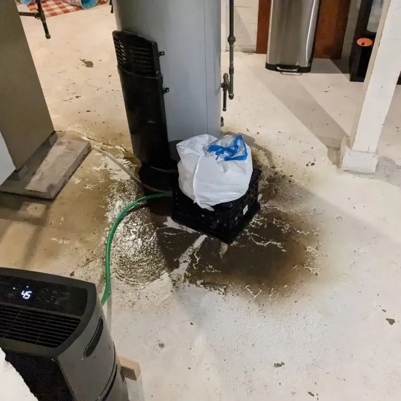 Sewage Backup Cleanup Service in Santa Rosa, TX